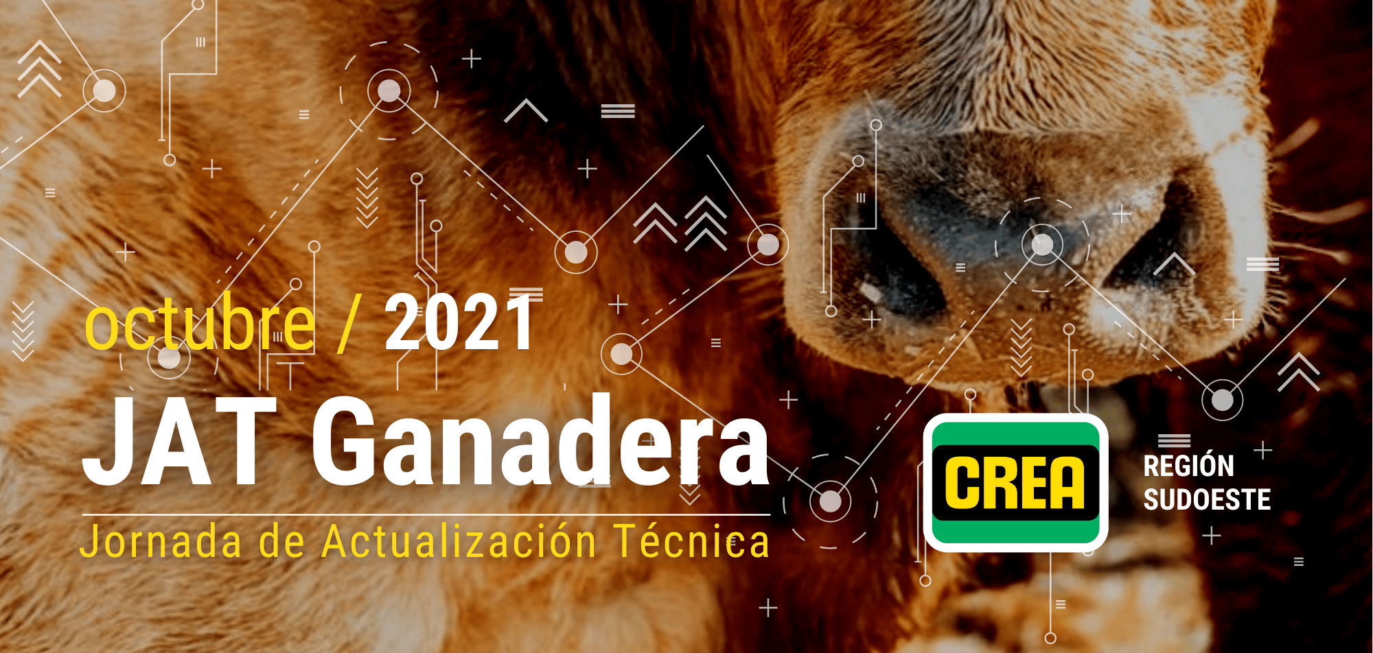 JAT Ganadera 2021 JAT Ganadera 2021